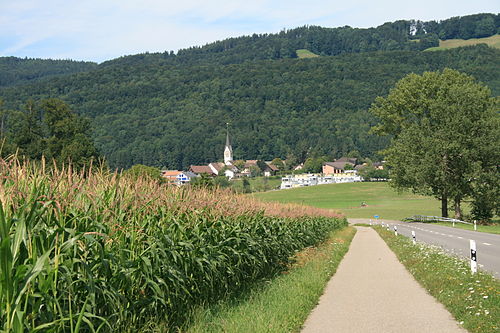 Hausen am Albis